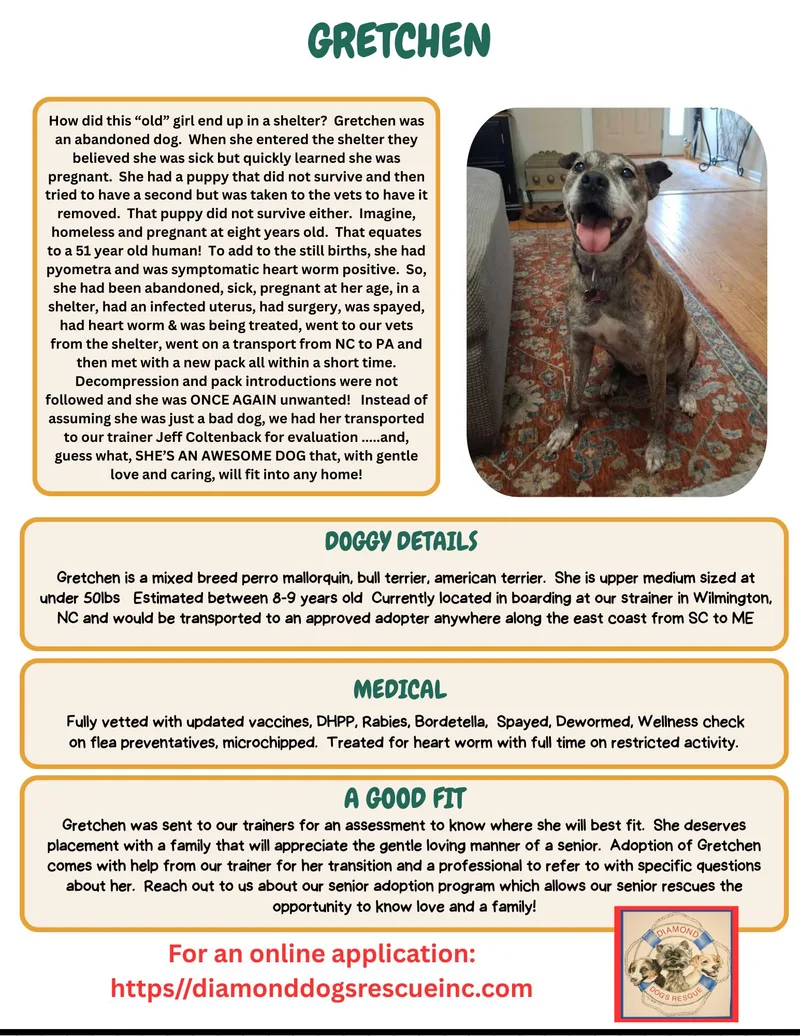 Gretchen thumbnail 5