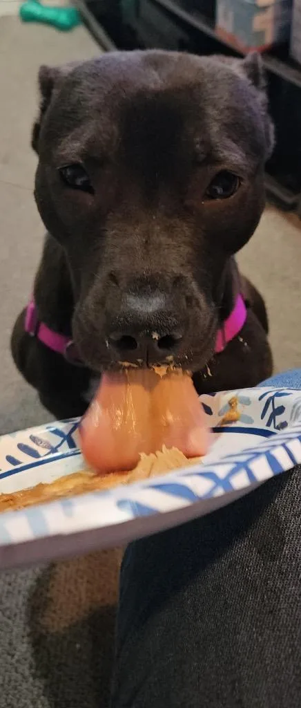 Luna French thumbnail 5