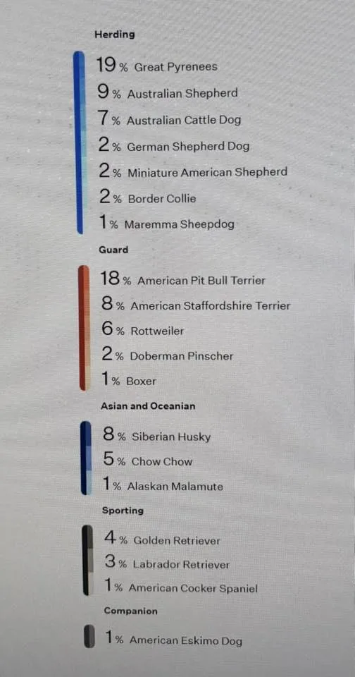 Valentine thumbnail 2