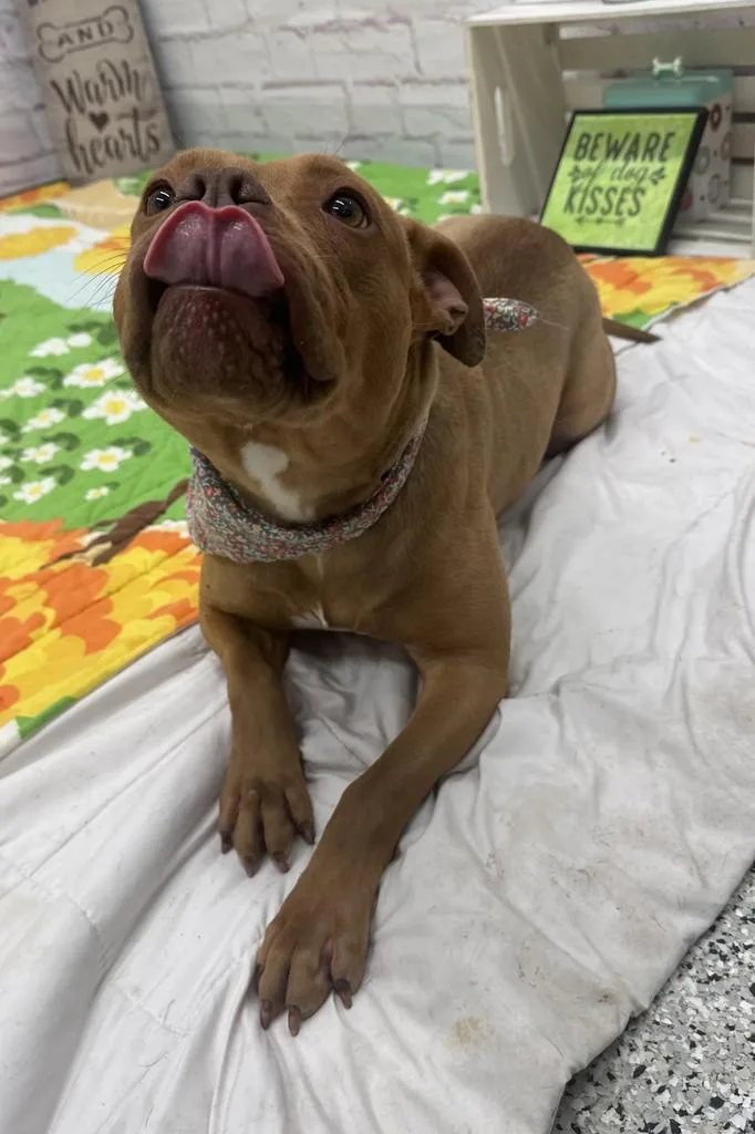 Lindsay Lou thumbnail 3