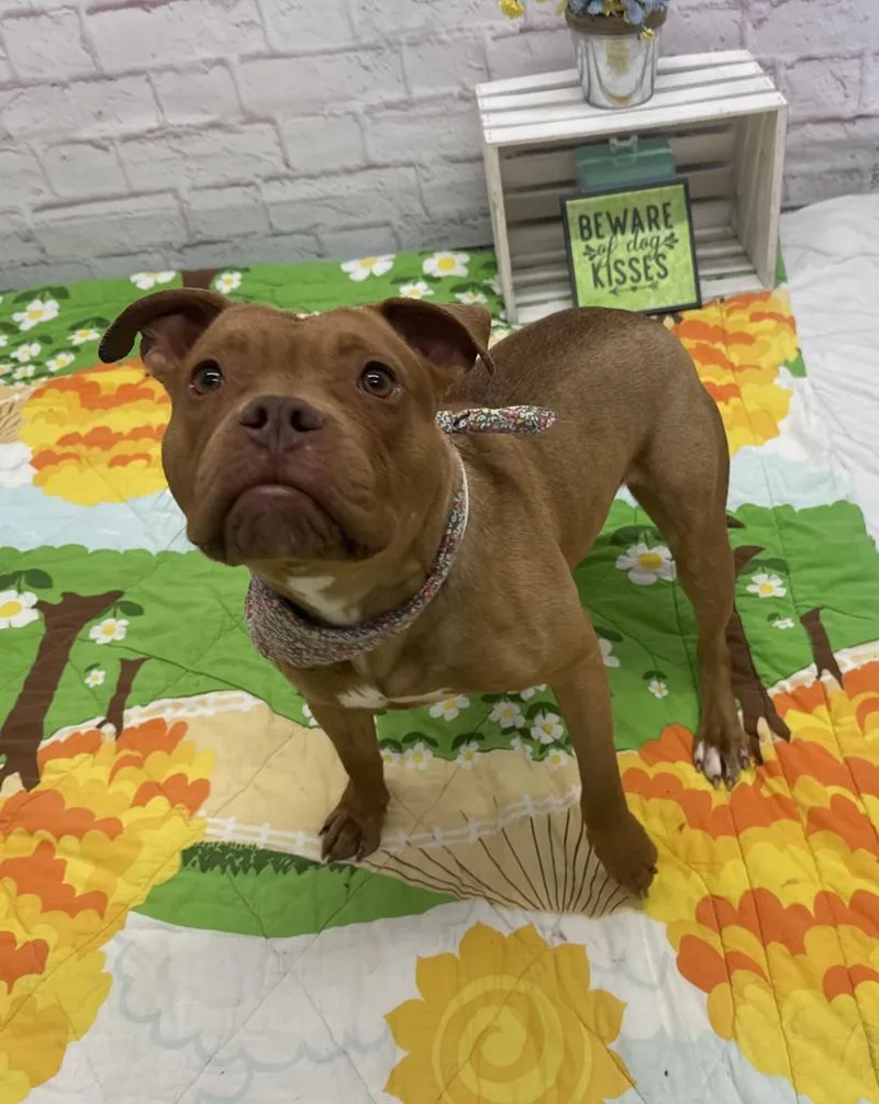 Lindsay Lou thumbnail 5