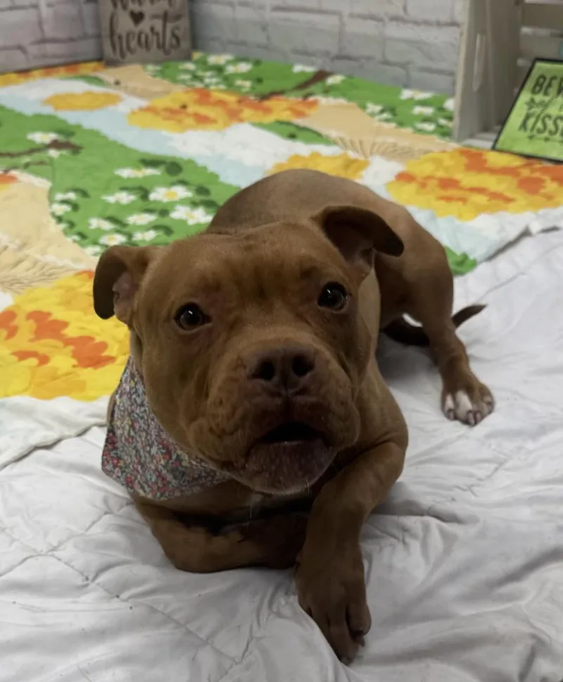 Lindsay Lou thumbnail 6