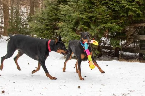 Prosecco thumbnail 5