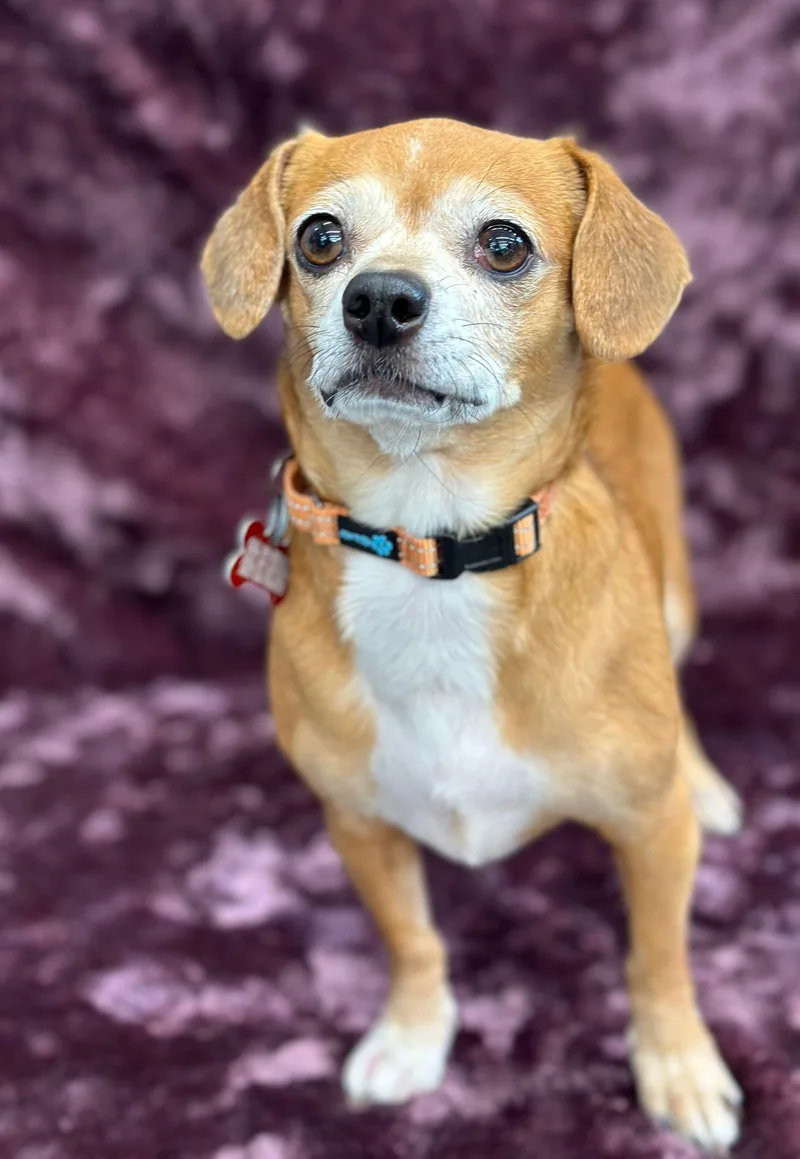 Influencer thumbnail 2