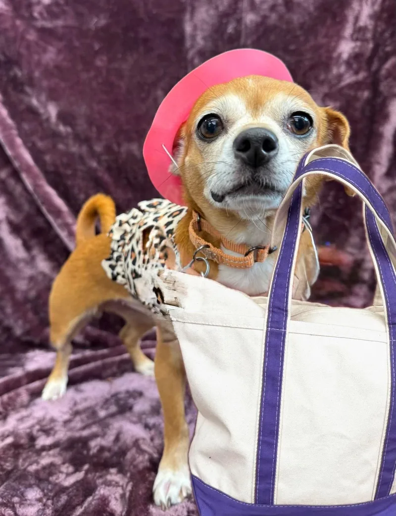 Influencer thumbnail 3