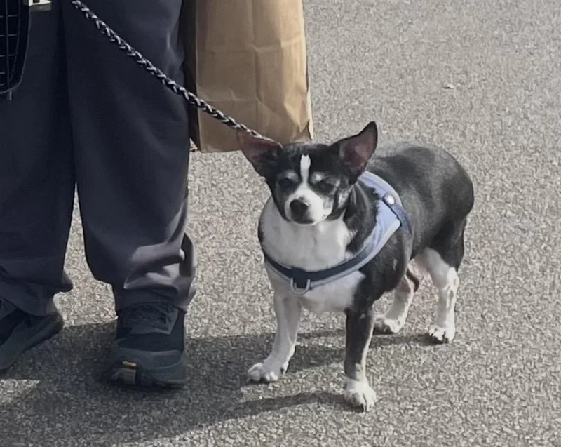 Nicholas thumbnail 2