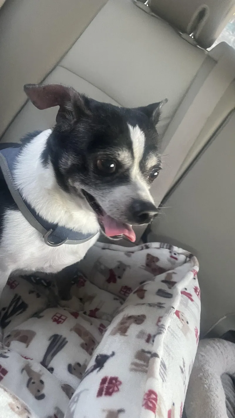 Nicholas thumbnail 5