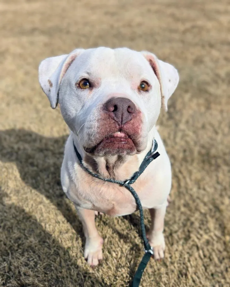 Serendipity thumbnail 2