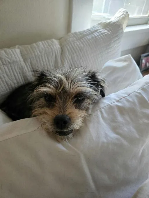 Sunshine thumbnail 2