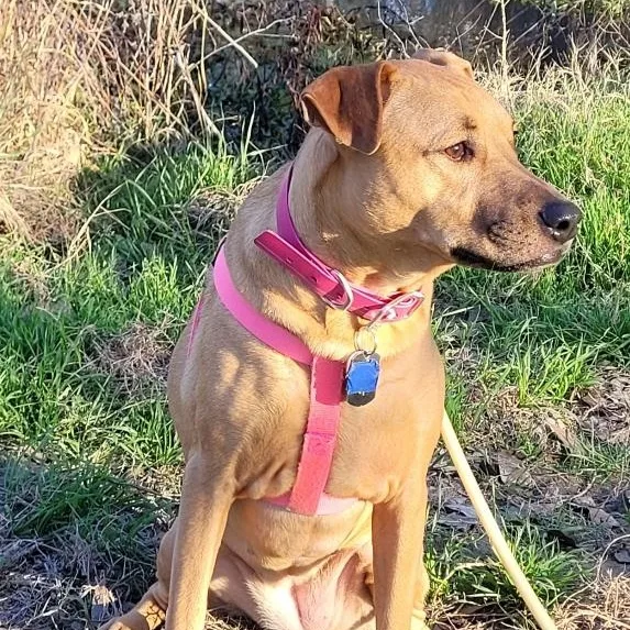 Wednesday thumbnail 2