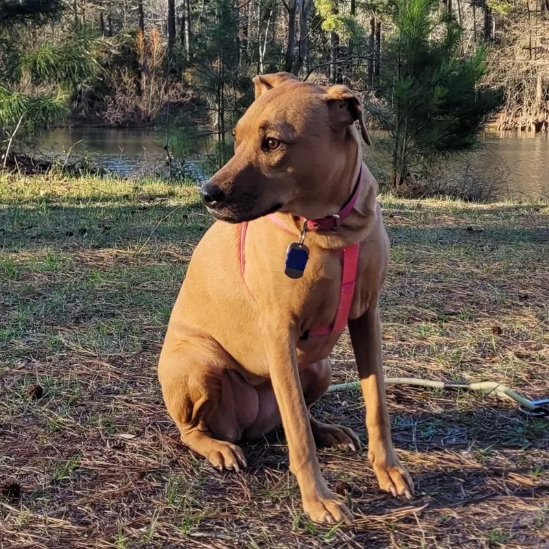 Wednesday thumbnail 3