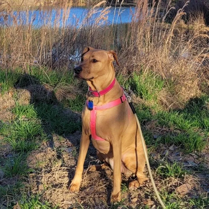 Wednesday thumbnail 4