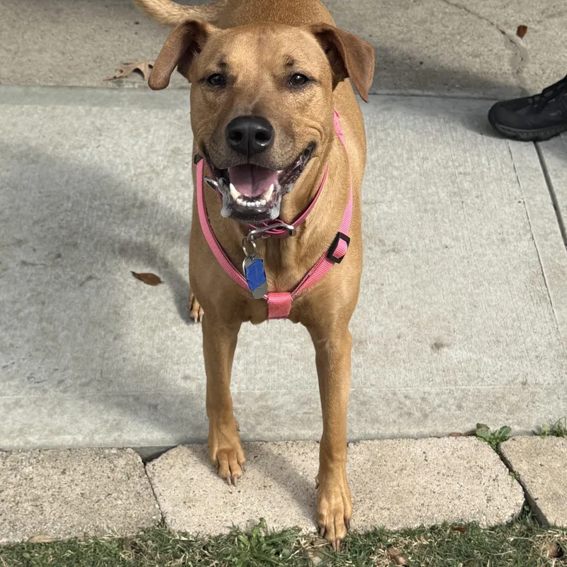 Wednesday thumbnail 5