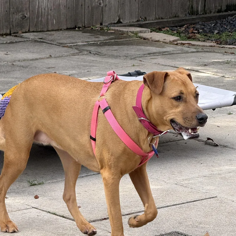 Wednesday thumbnail 6