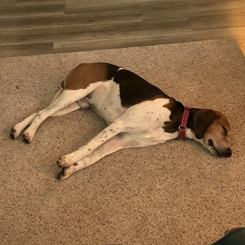 Ferguson thumbnail 3