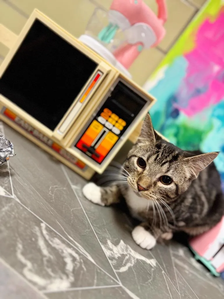 Crockpot thumbnail 2