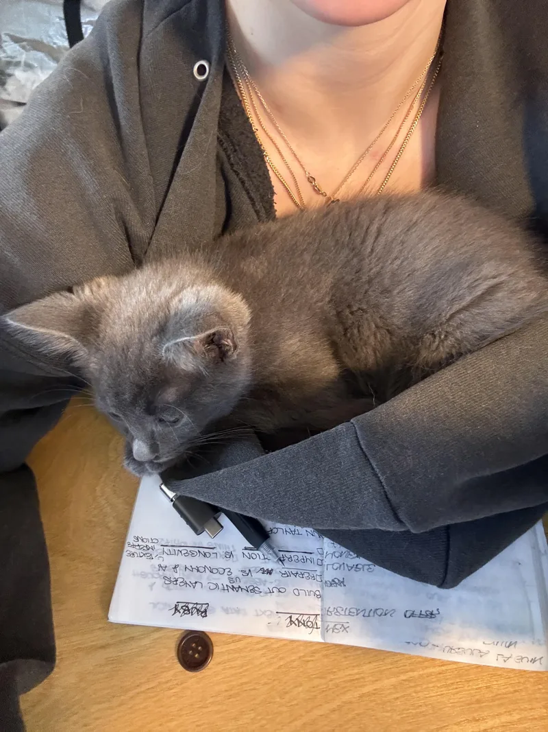 Cord And Sconce thumbnail 3