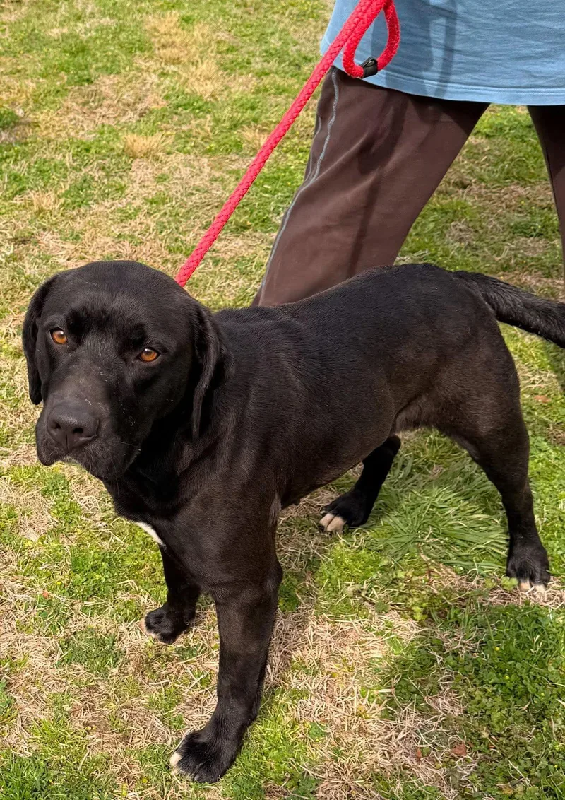 Ruthie Hc thumbnail 2