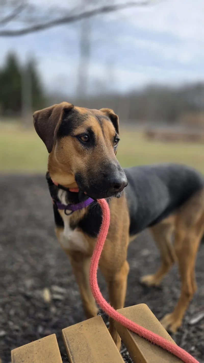 Tanzy Dixon thumbnail 2