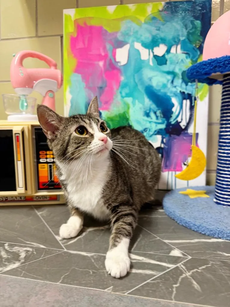 Air Fryer thumbnail 2