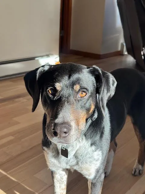 Speckles thumbnail 2