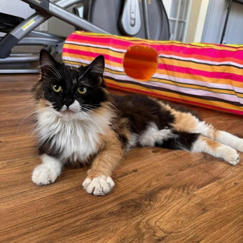 Jessicat thumbnail 2