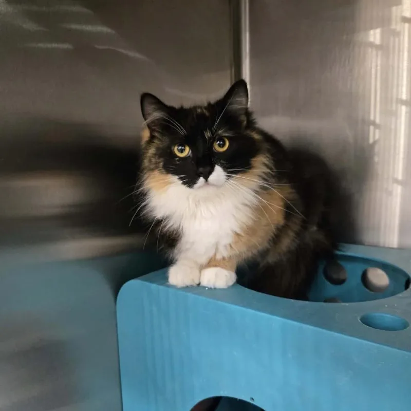 Jessicat thumbnail 5