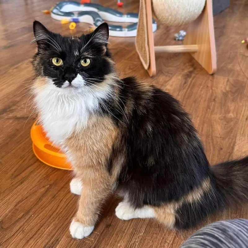 Jessicat thumbnail 6