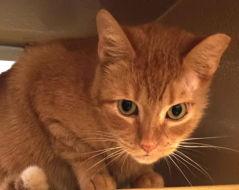 Silvie & Louise Bonded