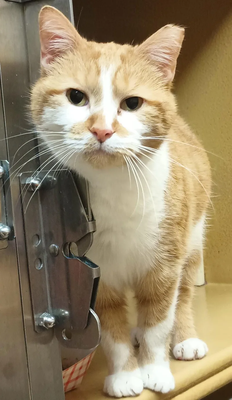 Silvie & Louise Bonded thumbnail 3