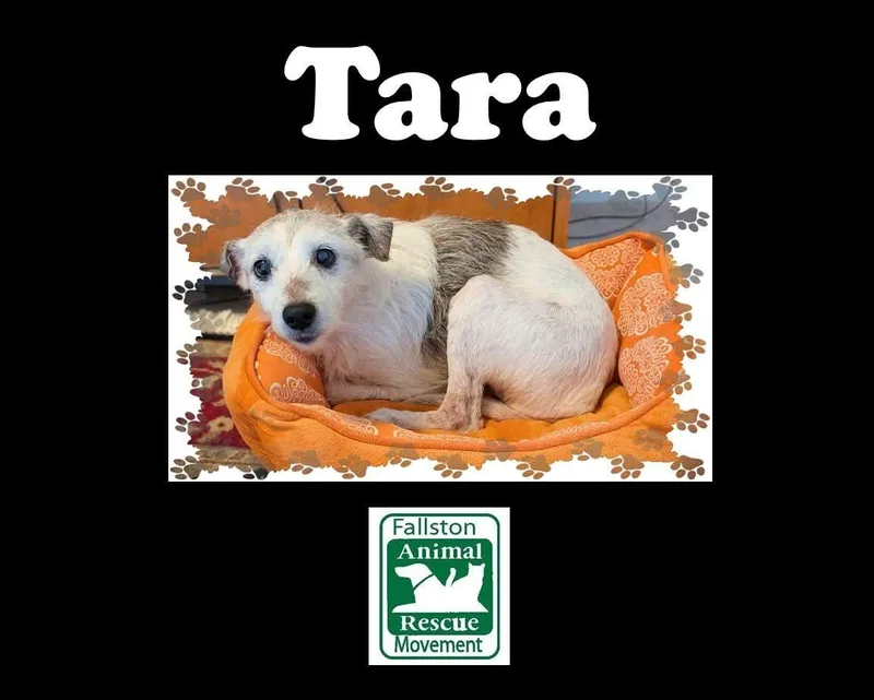 Tara