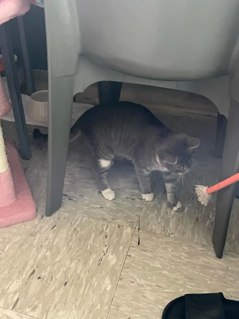 Esme & Gemma thumbnail 2