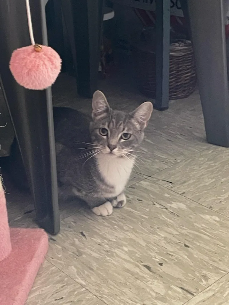 Esme & Gemma thumbnail 3