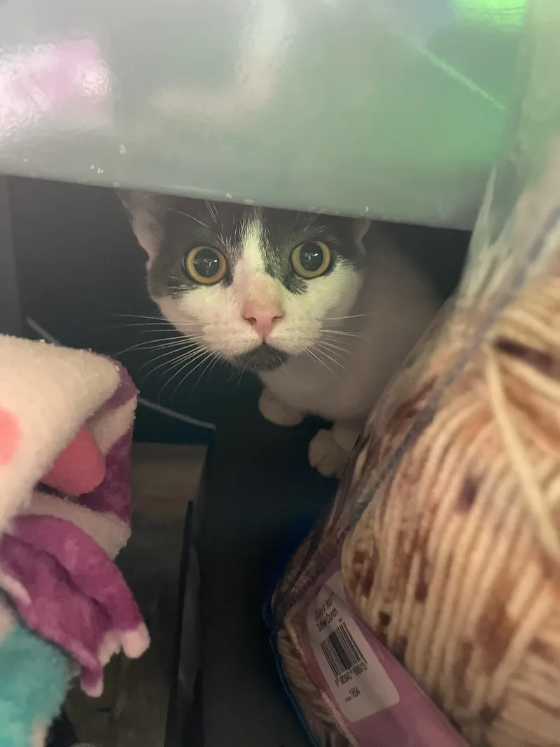 Esme & Gemma thumbnail 4