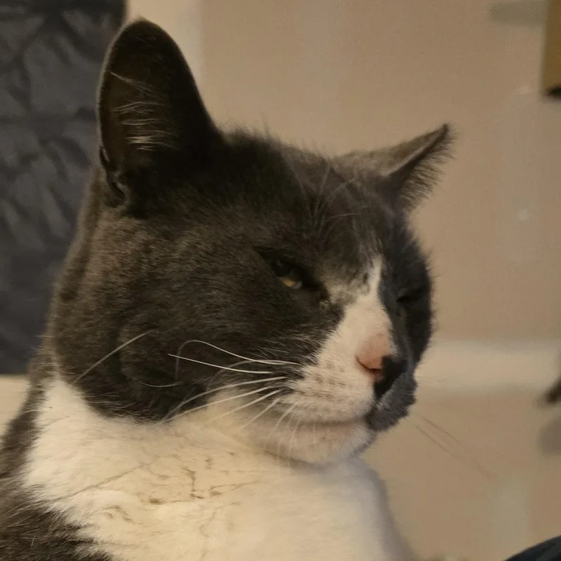 Smokey thumbnail 2
