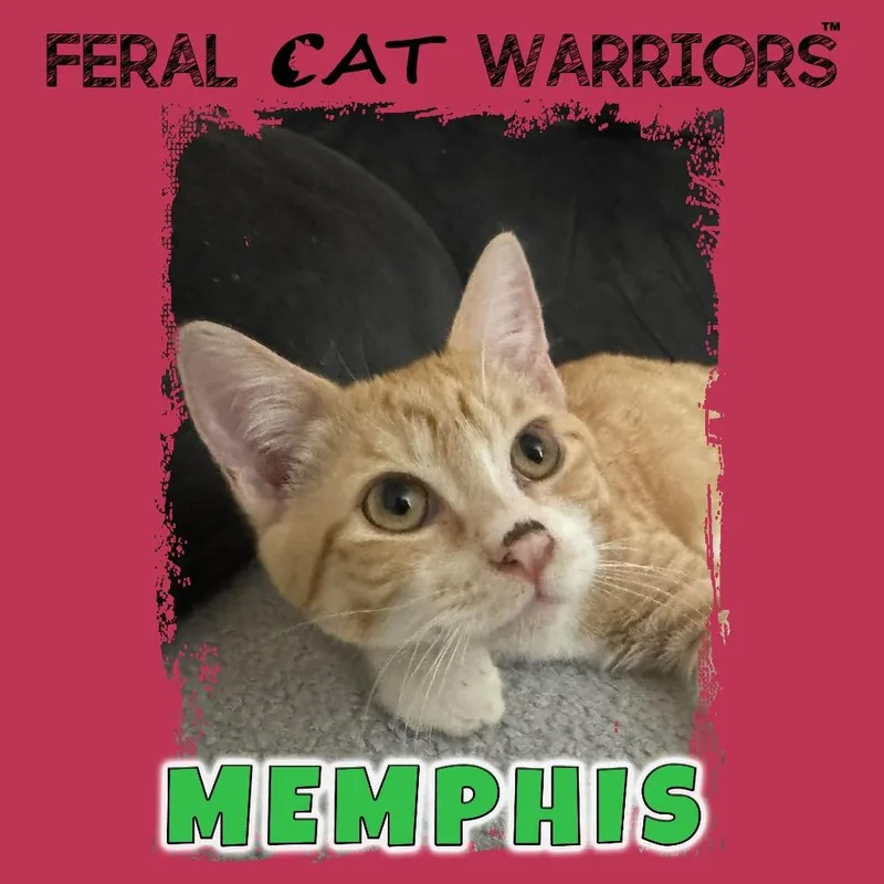 Memphis