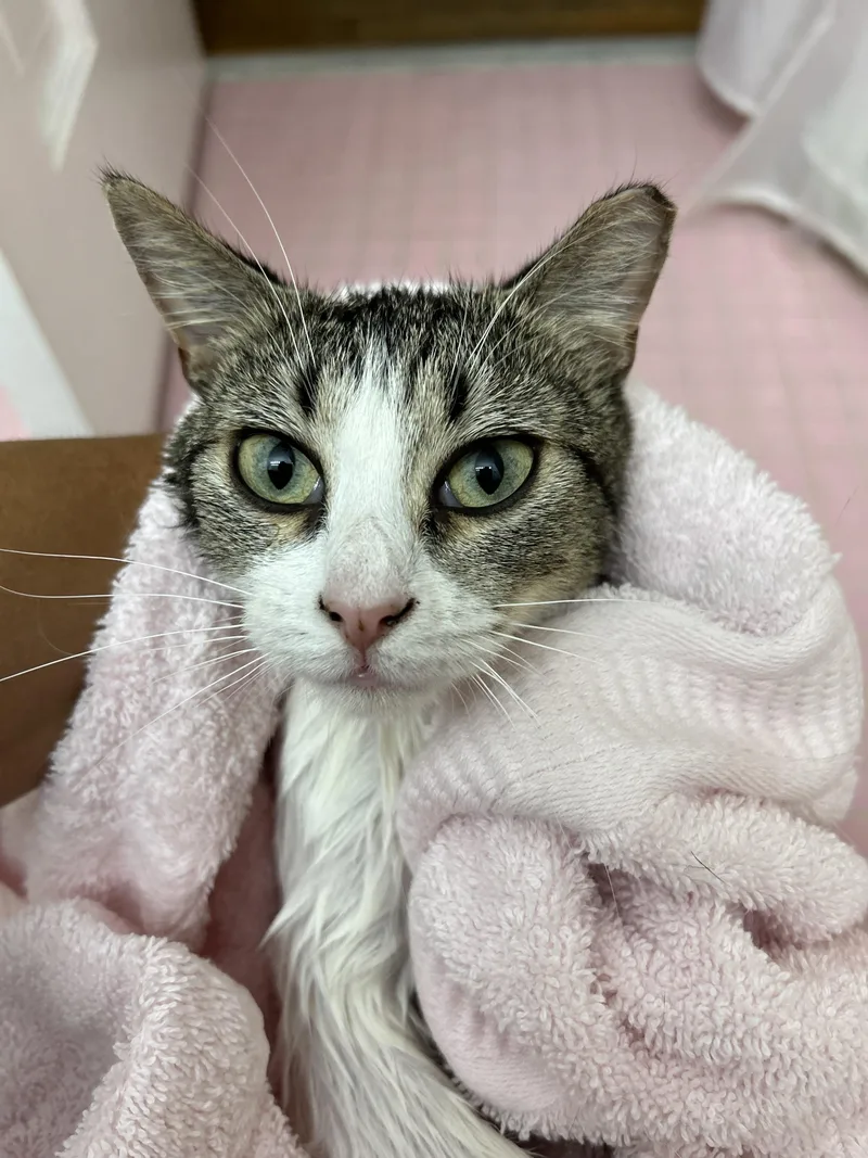 Gia & Astrid thumbnail 2