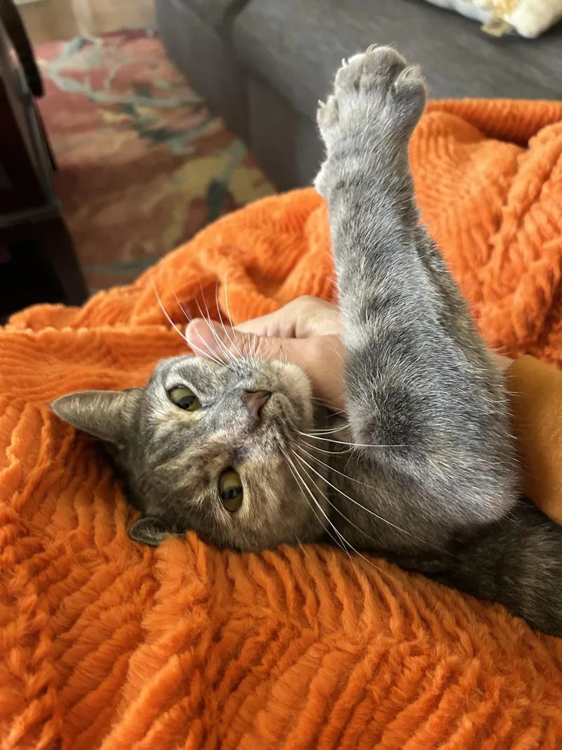 Gia & Astrid thumbnail 3