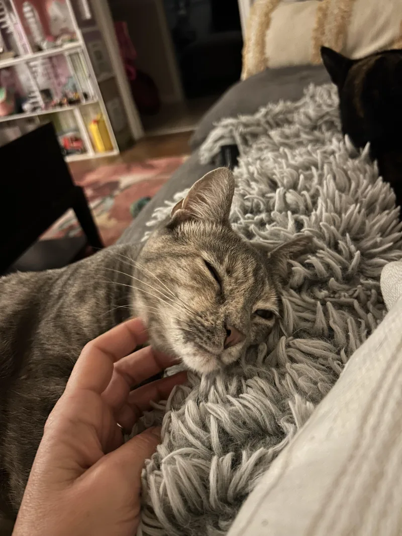 Gia & Astrid thumbnail 4