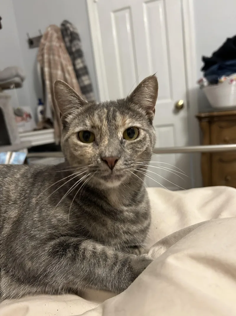 Gia & Astrid thumbnail 5