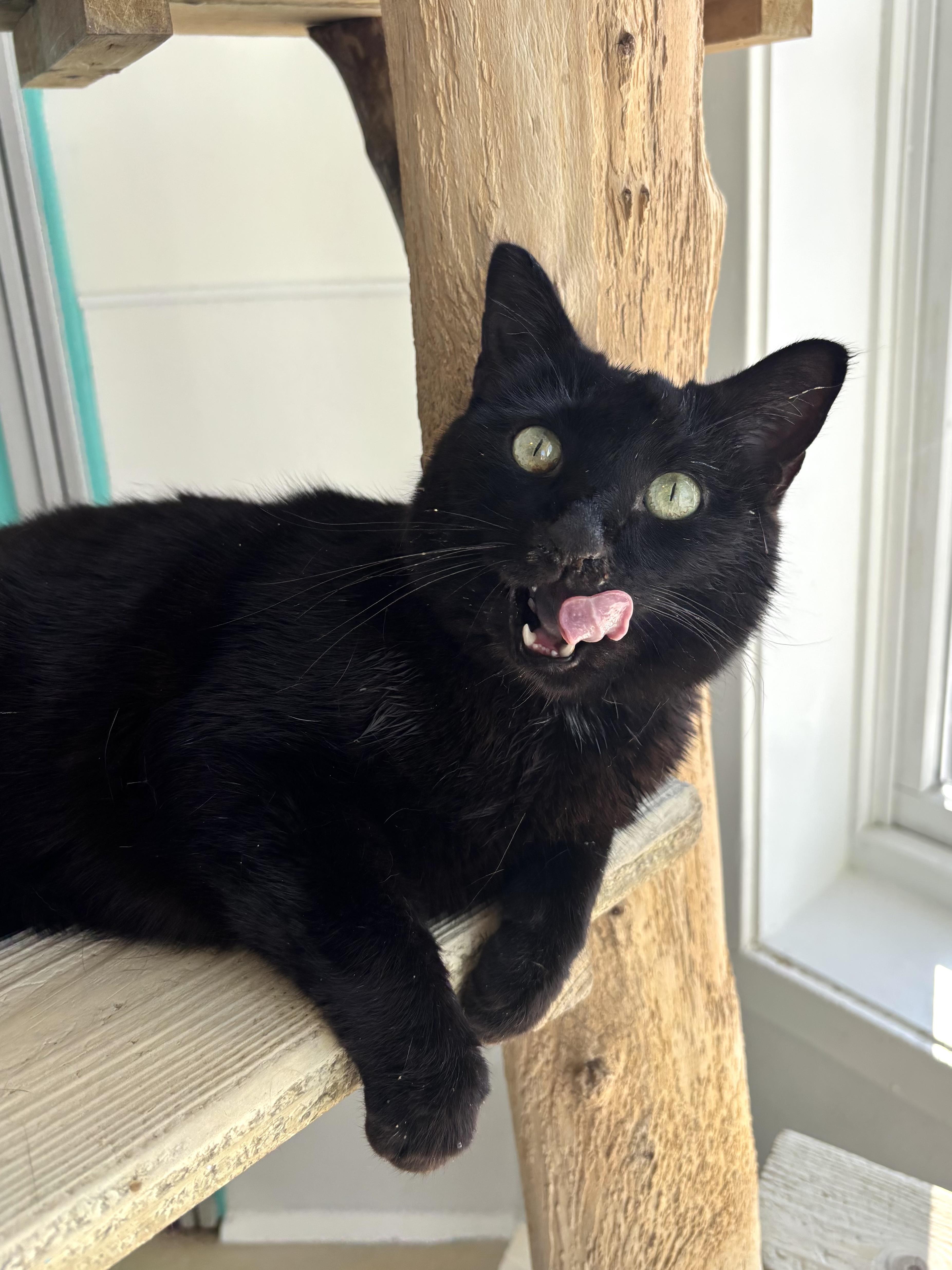 Pots  Our Sniffly thumbnail 2