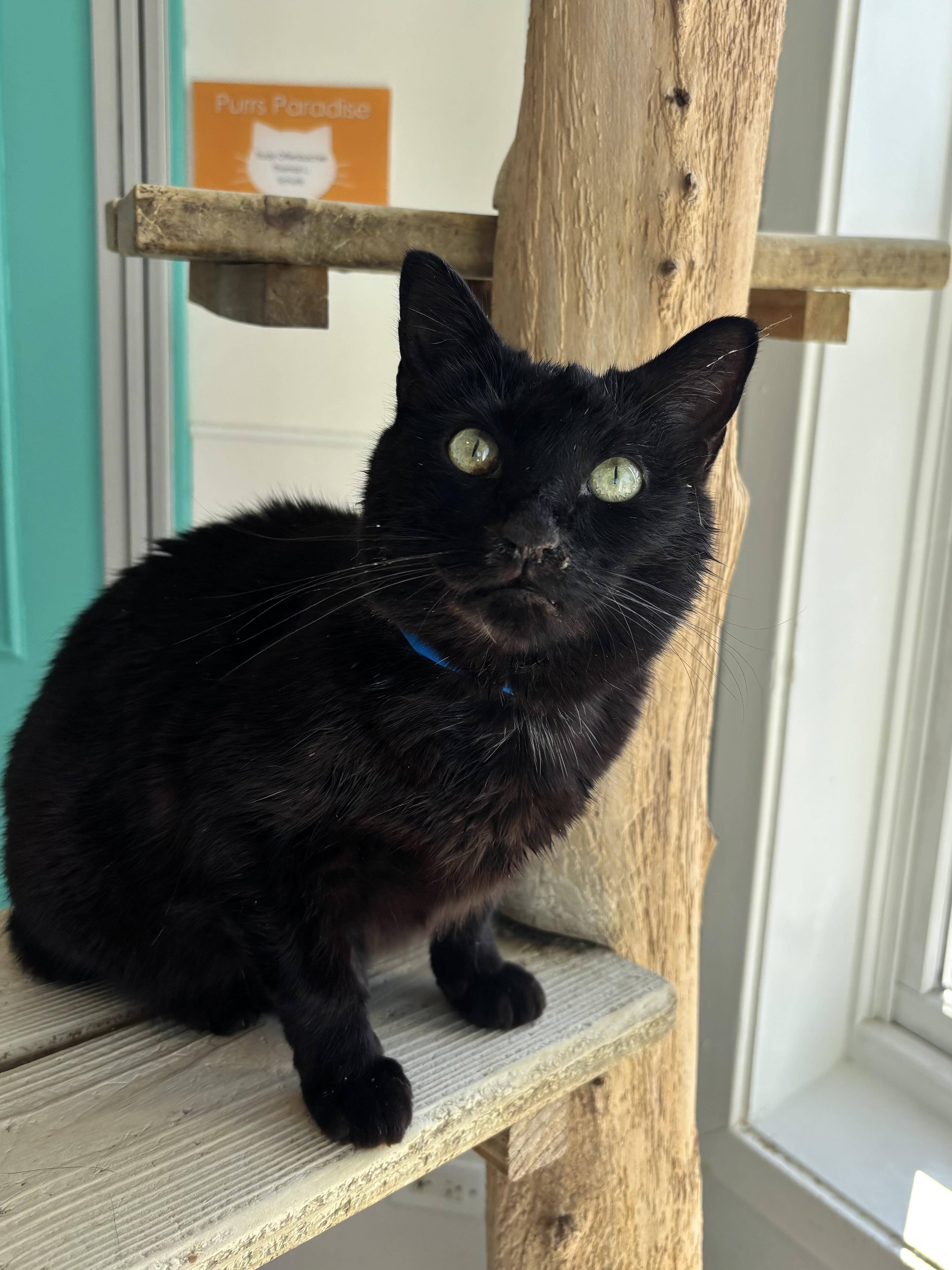 Pots  Our Sniffly thumbnail 3