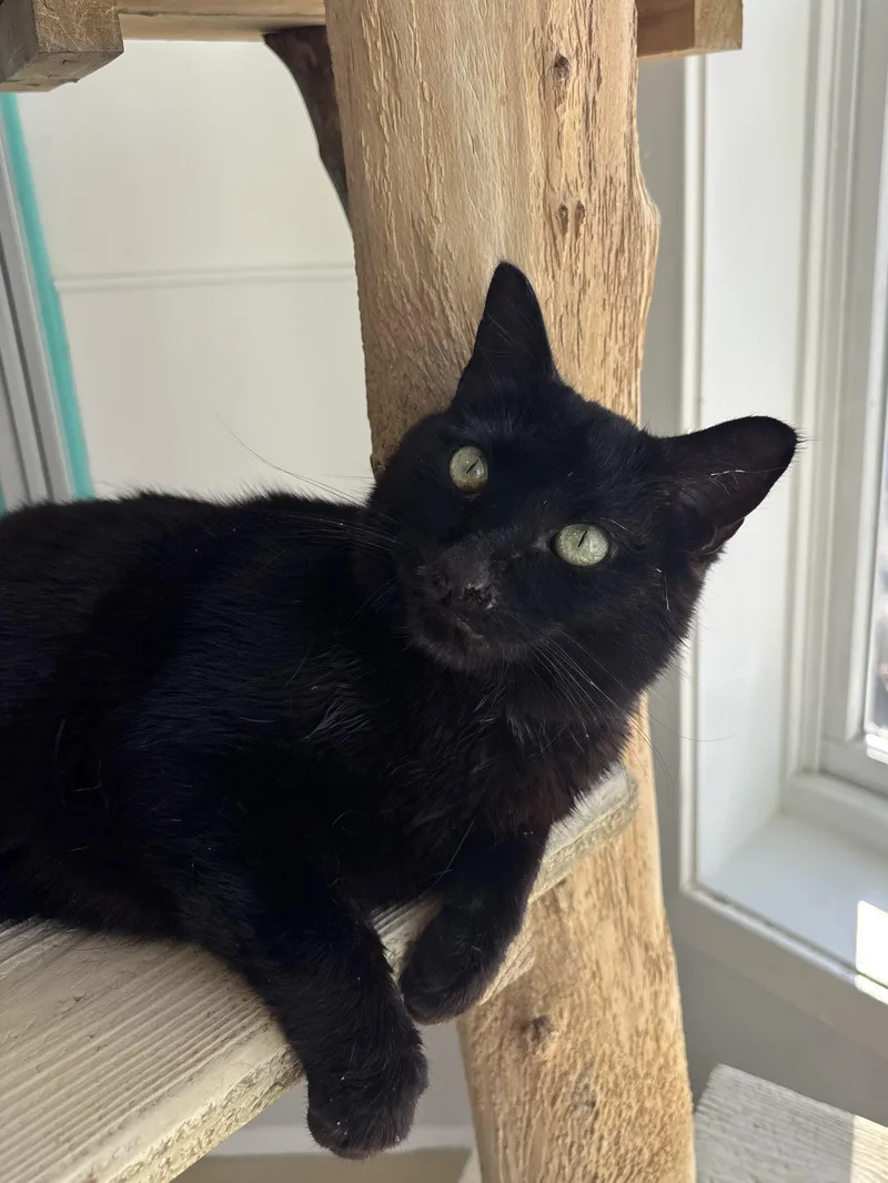 Pots  Our Sniffly thumbnail 4