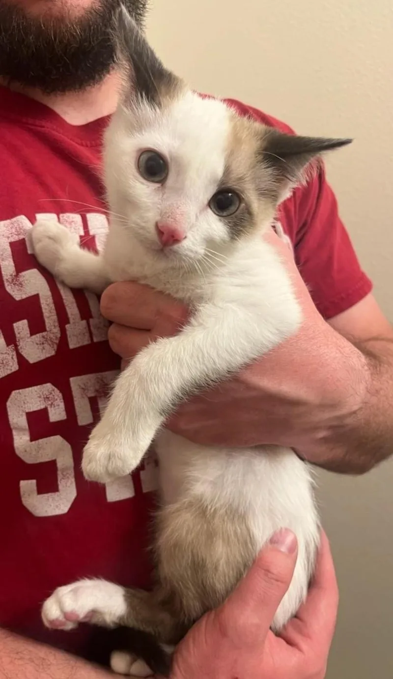 Remy & Sushi thumbnail 3