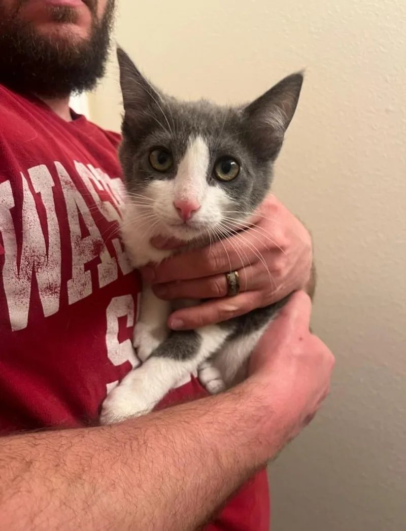 Remy & Sushi thumbnail 4