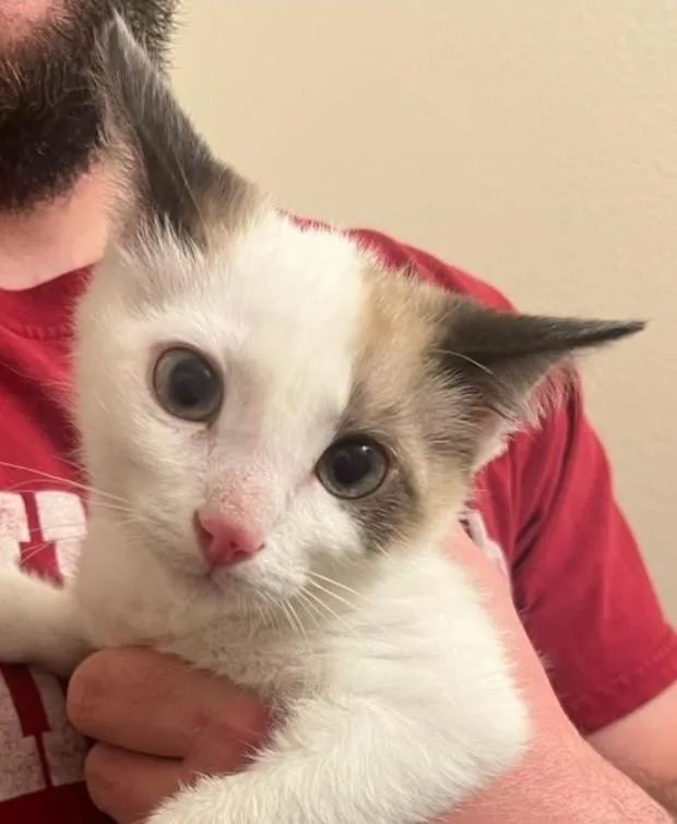 Remy & Sushi thumbnail 5