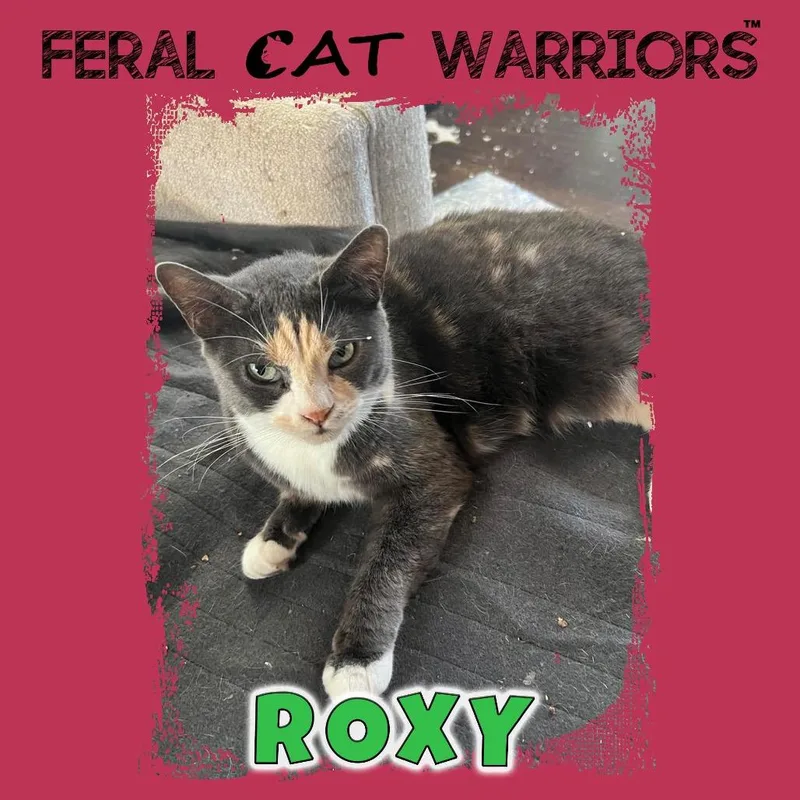 Roxy