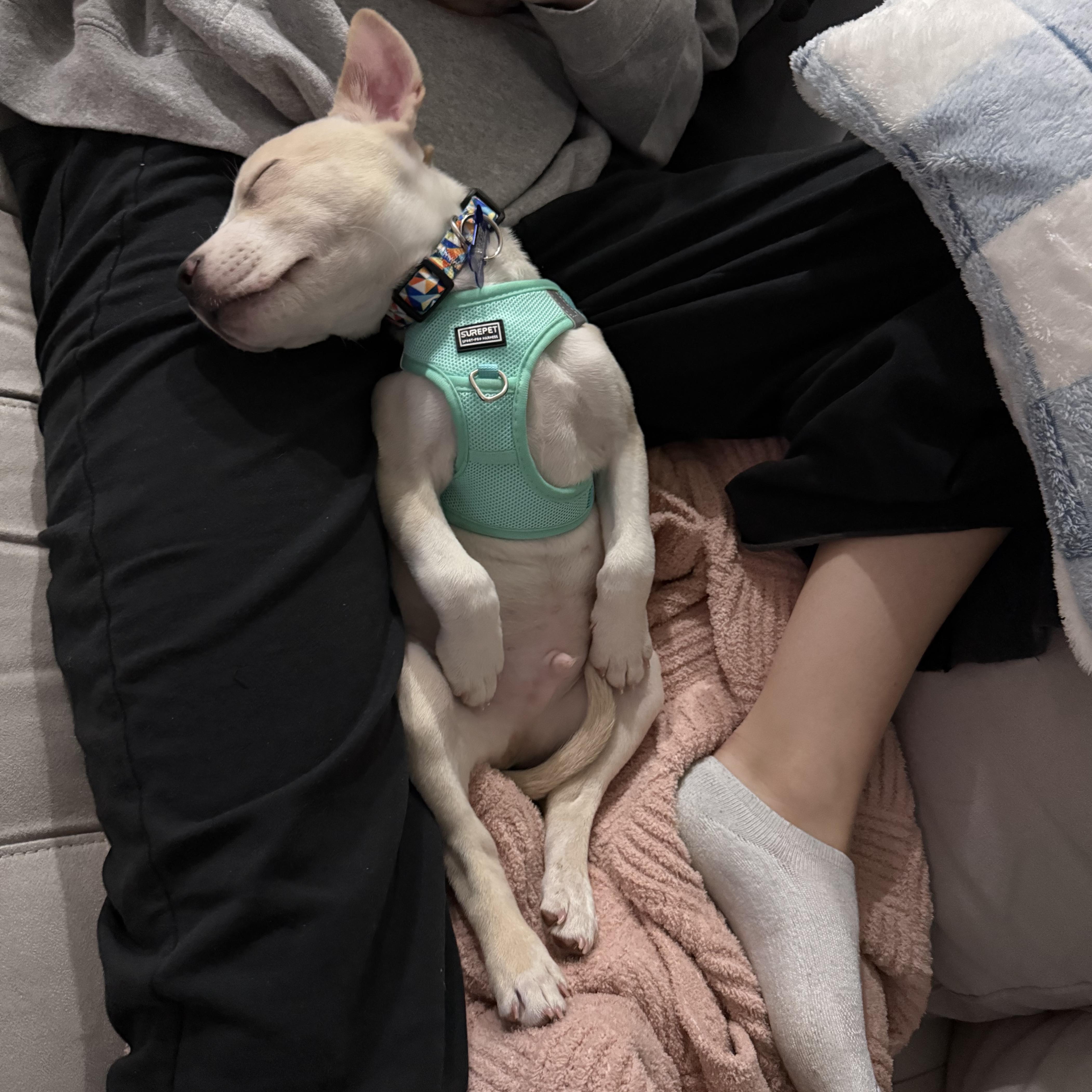 Kingsman thumbnail 2