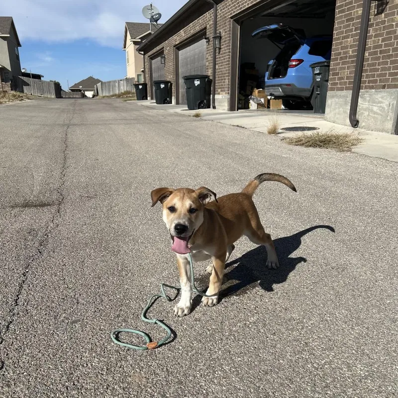 Fwt Kenny thumbnail 2