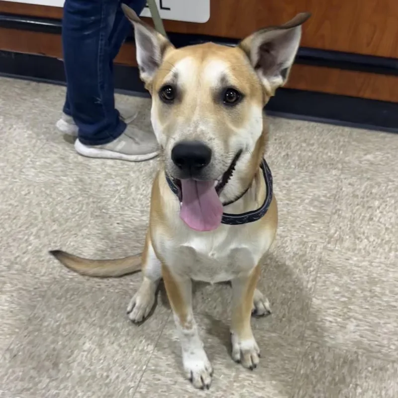 Fwt Kenny thumbnail 3